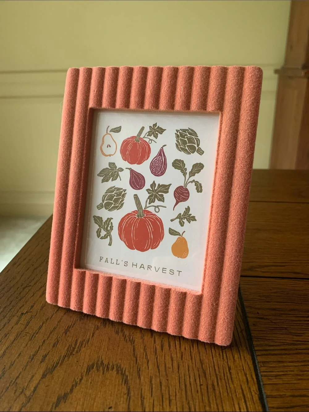 Coral Ridged Velvet Photo Frame Fall Decor